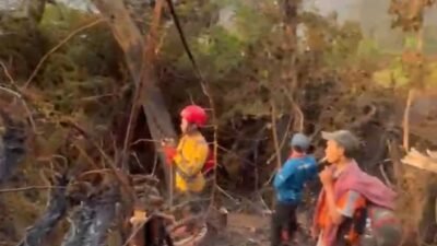Bukan 20 Hektare, Relawan Ungkap Luas Kebakaran Gunung Gede