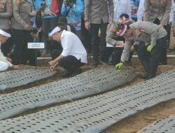 Bukan Sekadar Swasembada, Bupati Ingin Cianjur Jadi Pemasok Bawang Putih