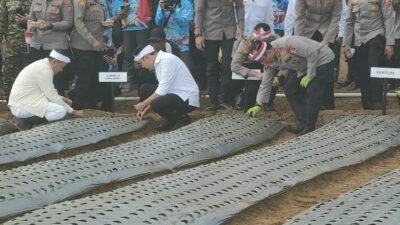 Bukan Sekadar Swasembada, Bupati Ingin Cianjur Jadi Pemasok Bawang Putih