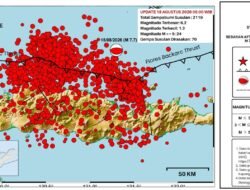 Gempa Susulan Flores M7,7 Capai 2.119 Kali hingga 18 Agustus 2026