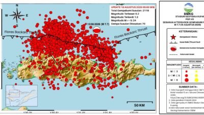 Gempa Susulan Flores M7,7 Capai 2.119 Kali hingga 18 Agustus 2026
