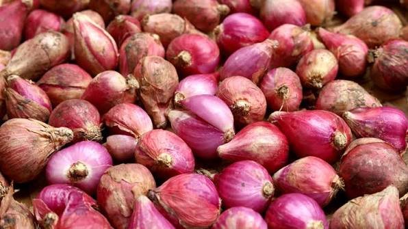 Harga Bawang, Beras dan Cabai Hari Ini 11 Agustus 2026