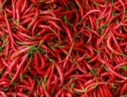 Harga Bahan Pokok Hari Ini 6 Agustus 2026: Cabai Merah Rp47.974 per Kg, Bawang Merah Rp33.320