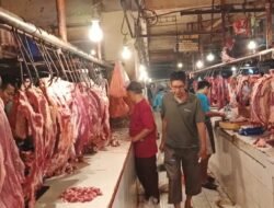 Harga Daging Hari Ini 1 Agustus 2026