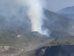 Kebakaran Kembali Melanda Gunung Gede