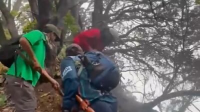 Puluhan Relawan dari Berbagai Daerah Berdatangan Padamkan Api di Gunung Gede