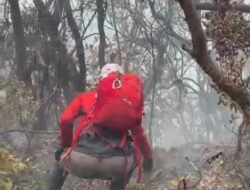 Karhutla Gunung Gede Meluas, 20 Hektar Lahan Terbakar