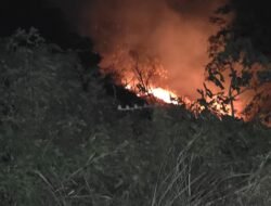 Karhutla Kembali Muncul di Sejumlah Kecamatan di Cianjur
