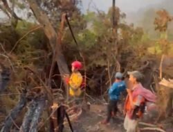 Relawan Gunung Gede Galang Donasi untuk Peralatan dan Logistik