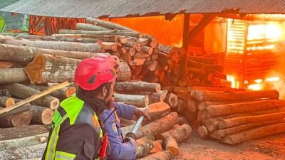 Gudang Gesekan Kayu di Cugenang Cianjur Terbakar, Kerugian Ditaksir Rp100 Juta