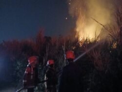 Bukit Cilaki Cidaun Terbakar, Total Karhutla di Cianjur Tembus 35 Kejadian Juli-Agustus 2026