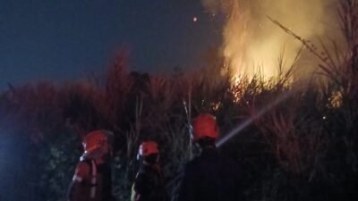Bukit Cilaki Cidaun Terbakar, Total Karhutla di Cianjur Tembus 35 Kejadian Juli-Agustus 2026