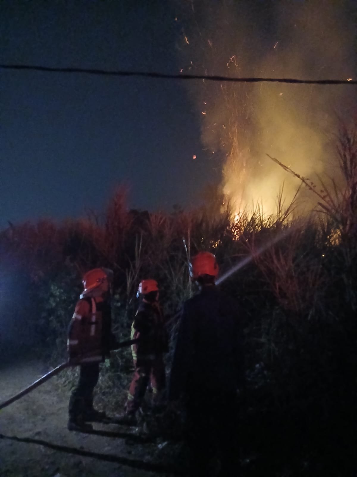 Bukit Cilaki Cidaun Terbakar, Total Karhutla di Cianjur Tembus 35 Kejadian Juli-Agustus 2026