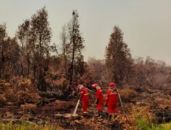 Hotspot Karhutla Kalimantan Melonjak, 12.880 Personel Dikerahkan