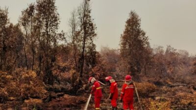 Hotspot Karhutla Kalimantan Melonjak, 12.880 Personel Dikerahkan