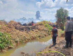 1.487 Titik Panas Terdeteksi di Kalimantan, Karhutla Jadi Sorotan