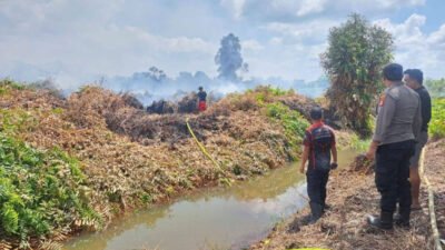 1.487 Titik Panas Terdeteksi di Kalimantan, Karhutla Jadi Sorotan
