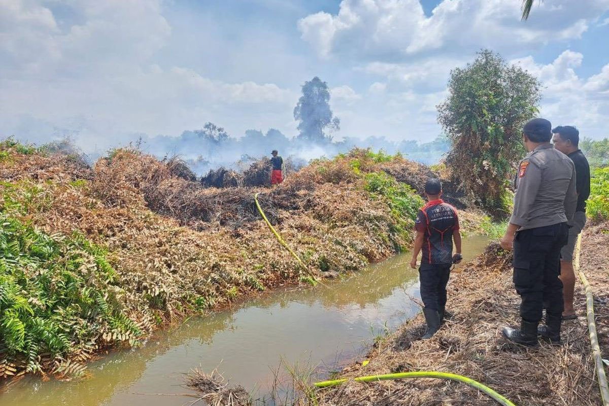 1.487 Titik Panas Terdeteksi di Kalimantan, Karhutla Jadi Sorotan