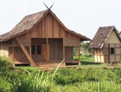 Revitalisasi Kampung Budaya Padi Pandanwangi Dimulai, Anggaran Rp4,1 Miliar