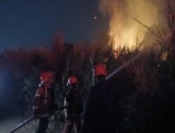 Karhutla Cianjur Capai 38 Kejadian, Satu Warga Meninggal
