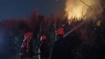 Karhutla Cianjur Capai 38 Kejadian, Satu Warga Meninggal