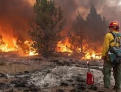 10 Hal yang Harus Diwaspadai Saat Musim Kemarau, dari Karhutla hingga Kekeringan