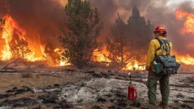 10 Hal yang Harus Diwaspadai Saat Musim Kemarau, dari Karhutla hingga Kekeringan