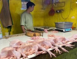 Harga Ayam di Pasar Muka Cianjur Tembus Rp45 Ribu per Kilogram