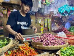 Harga Cabai Rawit Domba Naik hingga Rp80 Ribu per Kilogram