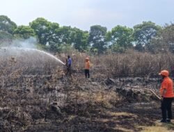 Lima Titik Karhutla Muncul Bersamaan, Api Berhasil Dipadamkan