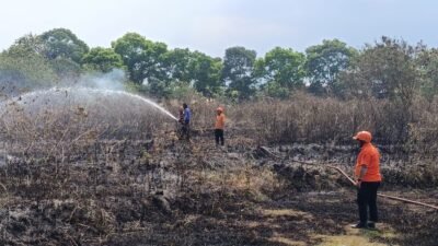Lima Titik Karhutla Muncul Bersamaan, Api Berhasil Dipadamkan