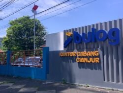 Hingga Agustus 2026, Bulog Cianjur Serap 88 Ribu Ton Gabah