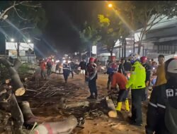 Tiga Pengendara Motor Terluka Tertimpa Pohon Tumbang