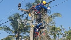 Tingkatkan Keandalan Pasokan Listrik di Cianjur Selatan, PLN Terjunkan 52 Personel melalui Program GKONS dan GROWS