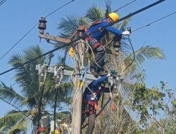 Tingkatkan Keandalan Pasokan Listrik di Cianjur Selatan, PLN Terjunkan 52 Personel melalui Program GKONS dan GROWS