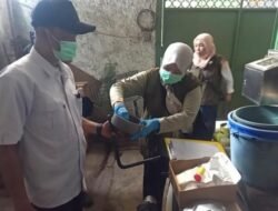 DLH Bakal Cek Kualitas Udara, Antisipasi Asap Karhutla