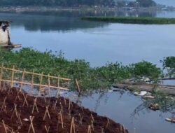 Air Waduk Cirata Menyusut, Petani Ikan Merugi hingga Rp60 Juta