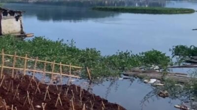 Air Waduk Cirata Menyusut, Petani Ikan Merugi hingga Rp60 Juta