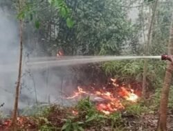 Karhutla Meluas, Kemenhub Perkuat Pengawasan Transportasi Darat hingga Udara