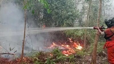 Karhutla Meluas, Kemenhub Perkuat Pengawasan Transportasi Darat hingga Udara