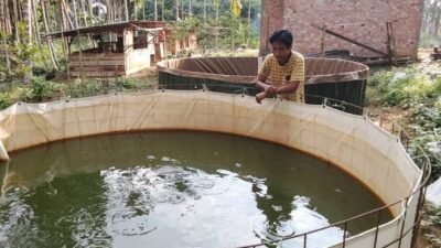 7 Pakan Lele Hemat yang Bisa Membantu Menekan Biaya Budidaya