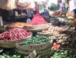 Imbas Musim Kemarau, Sawi dan Pakcoy Mulai Langka di Pasar Muka