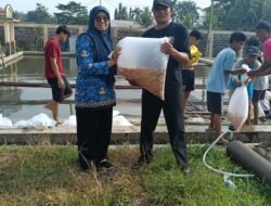 DPKHP Kabupaten Cianjur Salurkan Bantuan 300 Ribu Ekor Bibit Ikan ke Pembudidaya