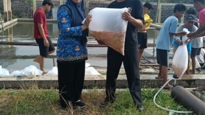 DPKHP Kabupaten Cianjur Salurkan Bantuan 300 Ribu Ekor Bibit Ikan ke Pembudidaya