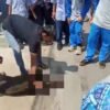 Bikin Panik, Seekor Babi Hutan Masuk ke Halaman Puskesmas Campaka di Cianjur