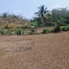 Pemkab Cianjur Perpanjang Siaga Darurat Kekeringan dan Karhutla