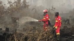 Pemisahan KLH dan Kehutanan Jangan Sisakan Celah Pengendalian Karhutla