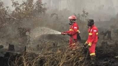 Pemisahan KLH dan Kehutanan Jangan Sisakan Celah Pengendalian Karhutla