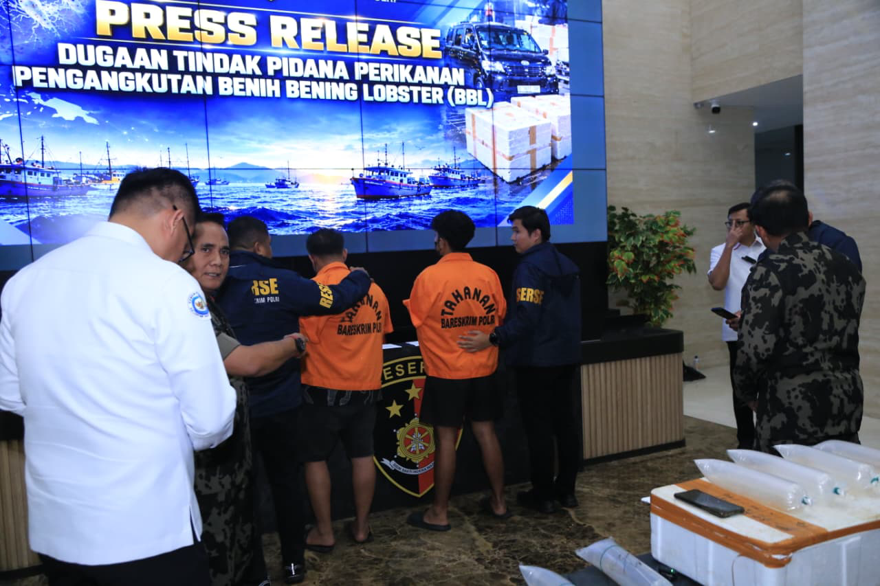 Bareskrim Polri Bongkar Dugaan Penyelundupan Benih Lobster Senilai Rp5,8 Miliar