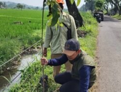 DLH Cianjur Tanam 3 Ribu Bibit Pohon di Kawasan Rawan Bencana
